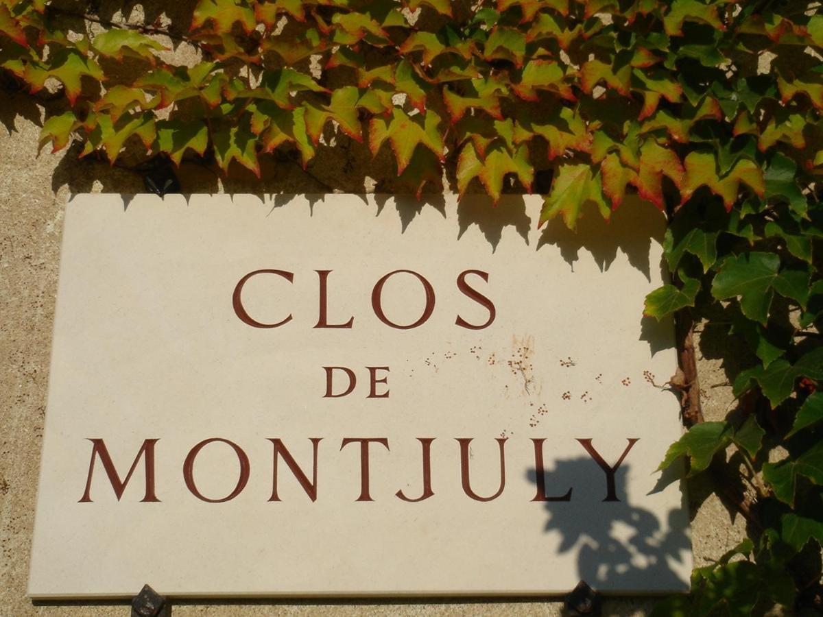 Clos De Mont July, Chambres Avec Vue Et Terrasse Dans Demeure Historique Ceyzeriat Exterior foto