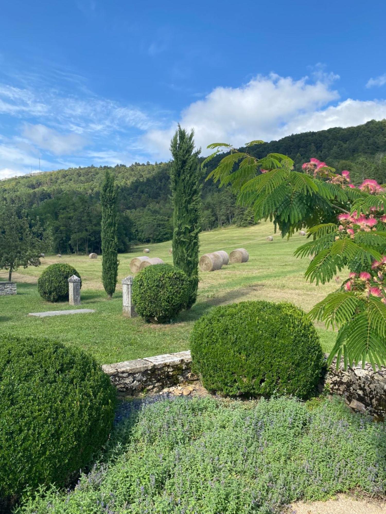 Clos De Mont July, Chambres Avec Vue Et Terrasse Dans Demeure Historique Ceyzeriat Exterior foto